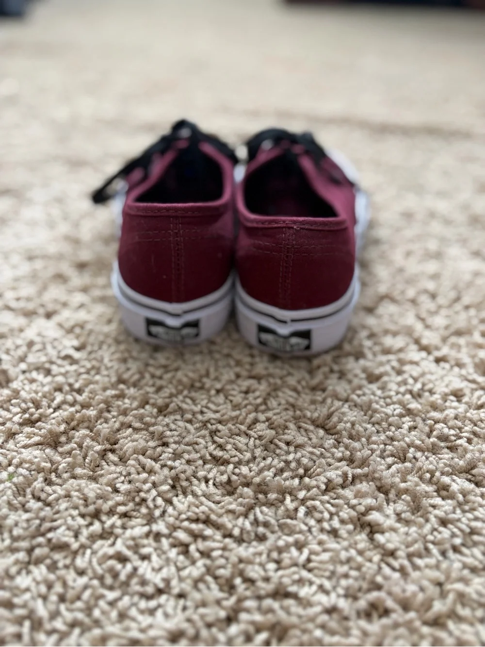 Vans Maroon Canvas Low-Top Sneakers with Black Laces